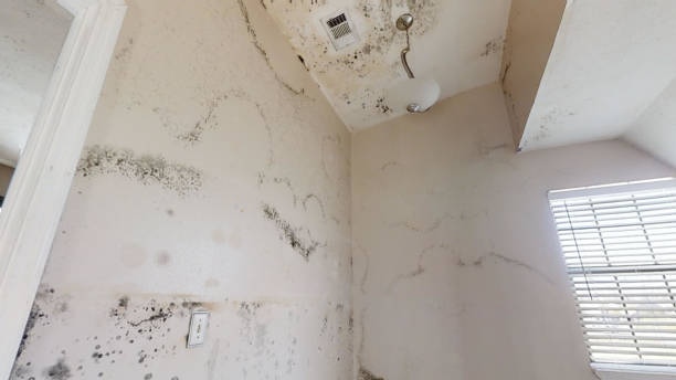 Best Indoor Air Quality Assessment  in Farrell, PA