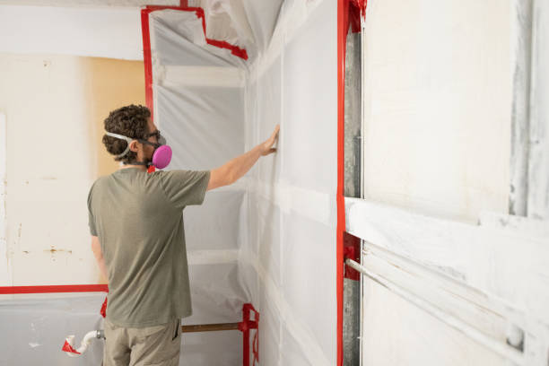 Best Post-Construction Mold Inspection  in Farrell, PA