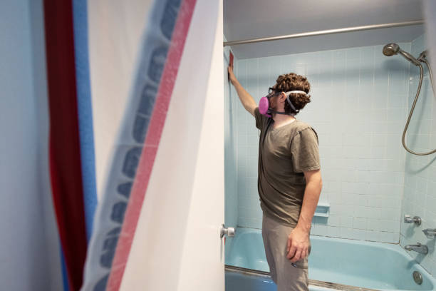 Best Basement Mold Removal  in Farrell, PA