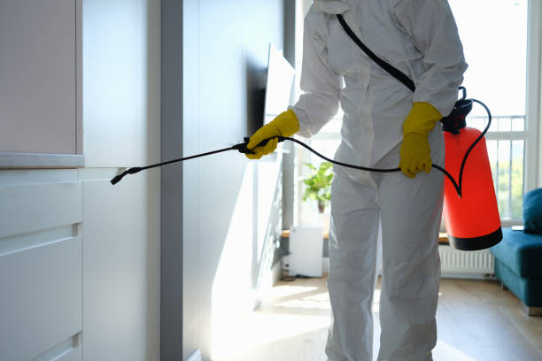 Best Attic Mold Removal  in Farrell, PA