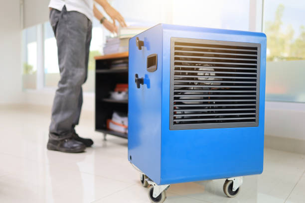 Farrell, PA Mold Removal Company