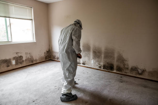Best Crawl Space Mold Remediation  in Farrell, PA