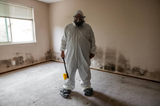 Best Industrial Mold Remediation  in Farrell, PA